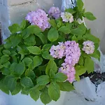Sergios * Hriszí Aktí Haniá