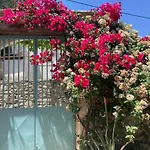 Sergios La Canée