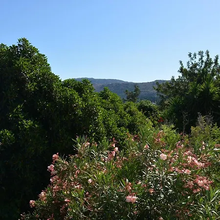 Sergios Ханья (Крит)