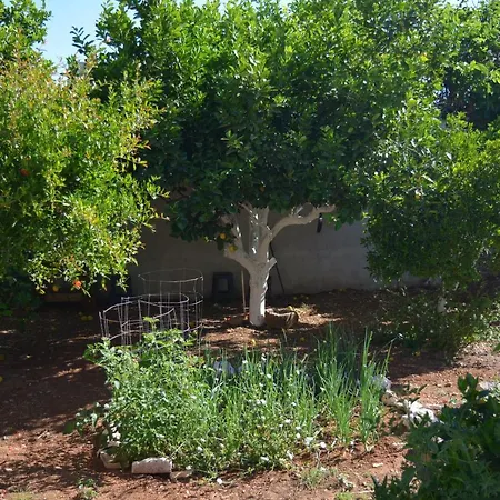 Sergios Дом отдыха Ханья