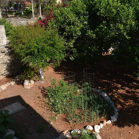 Будинок відпочинку Sergios Ханья (Крит)