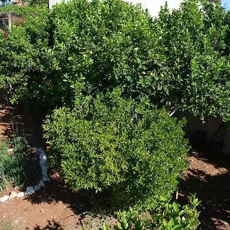 Дом отдыха Sergios