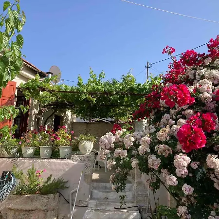 Sergios * Chania (Crete)