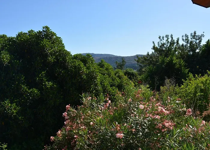 Sergios Chania (Crete)