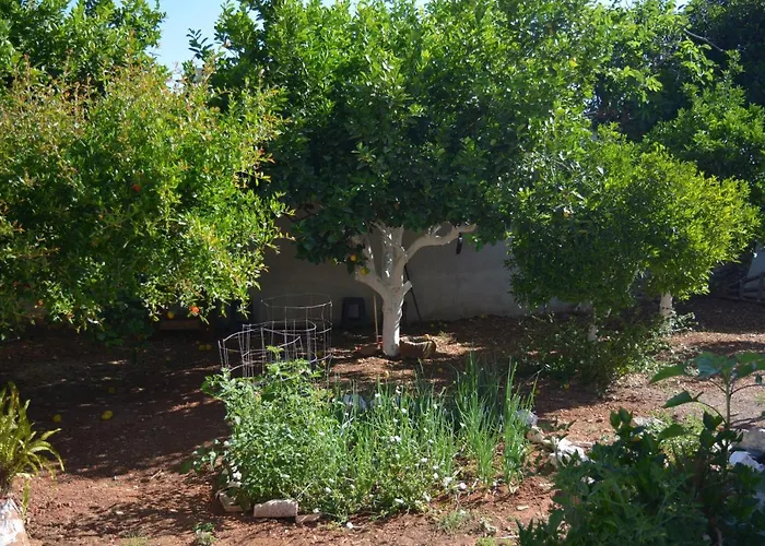 Sergios Holiday home Chania (Crete)