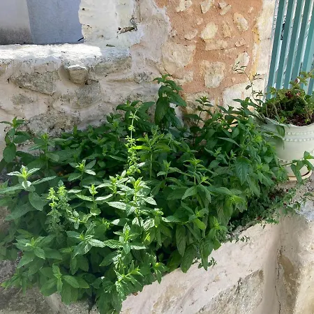 度假居 Sergios